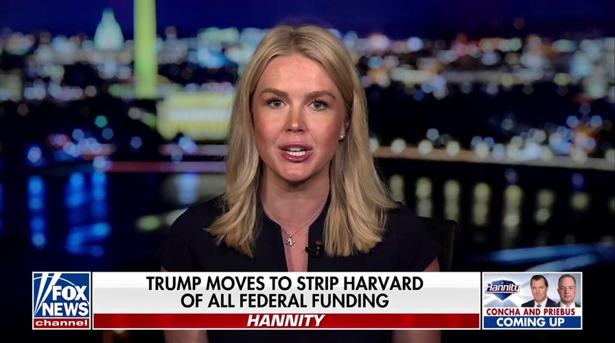 Karoline Leavitt vows Trump will continue to push for answers on Biden's decline