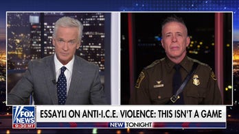 Top US immigration official responds to Chicago mayor calling him 'barbaric'