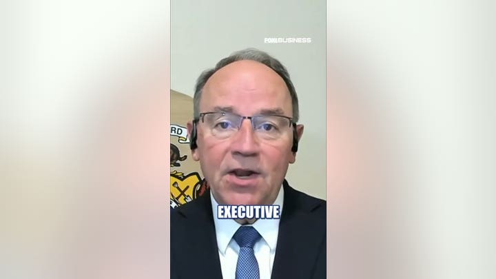 MIDTERM ELECTIONS: Critical governors race explained