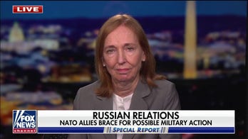 German ambassador to US vows commitment to ‘Ukrainian sovereignty’ as NATO allies question resolve