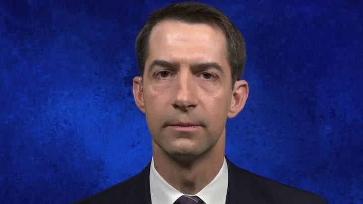 Sens. Cotton, Jones urge US treasury to expedite CARES Act direct payments to Americans