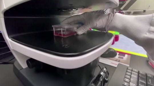 Chinese hackers charged by Justice Department with trying to steal US coronavirus research