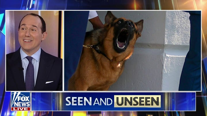 Seen and Unseen: Biden’s dog claims another victim