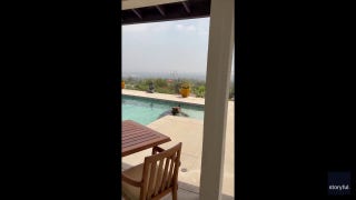 Pasadena bear returns to residents' home after Eaton fire to enjoy a dip