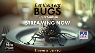 'Tucker Carlson Originals: Let Them Eat Bugs' explores push to eat insects - Fox News