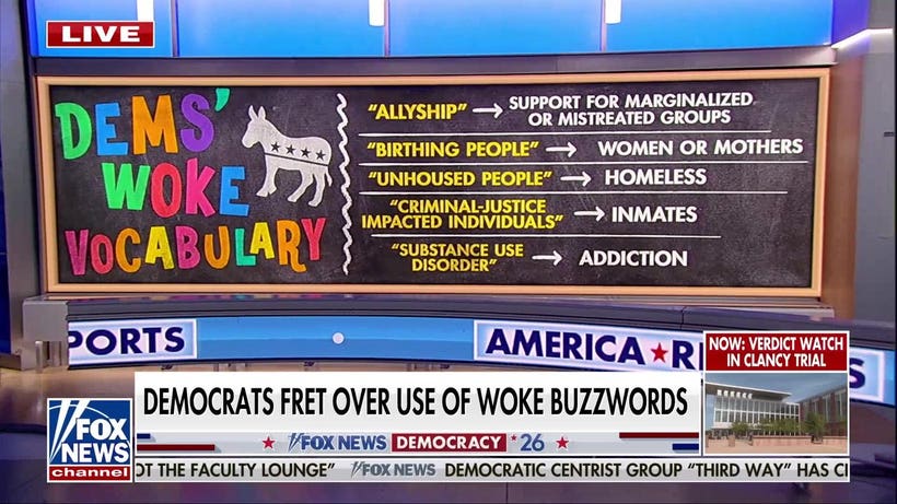 Newt Gingrich: Language cannot ‘cover up’ the fact these people are nuts
