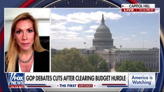 GOP lawmaker says there is ‘money to be saved’ with DOGE identifying waste in government - Fox News