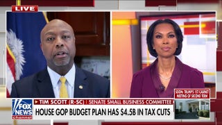 Tim Scott touts Trump tax cuts, says DOGE refund checks could happen - Fox News