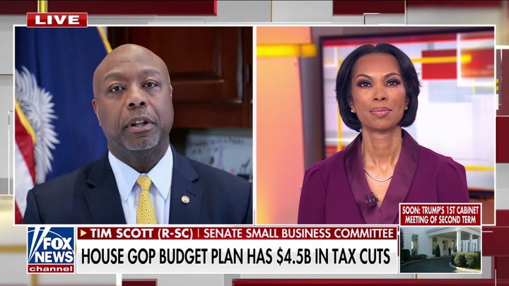 Tim Scott touts Trump tax cuts, says DOGE refund checks could happen
