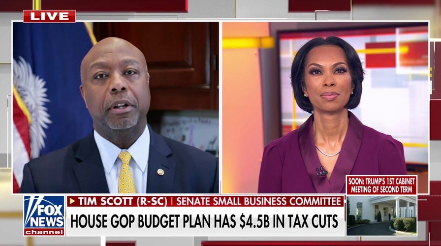 Tim Scott touts Trump tax cuts, says DOGE refund checks could happen