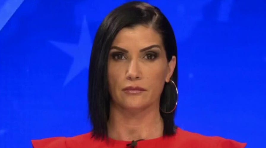 Dana Loesch says St. Louis couple vilified for protecting their home committed no crime