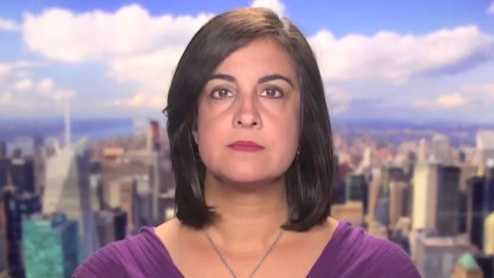 Rep. Malliotakis: NY needs sewer infrastructure, not climate change panels