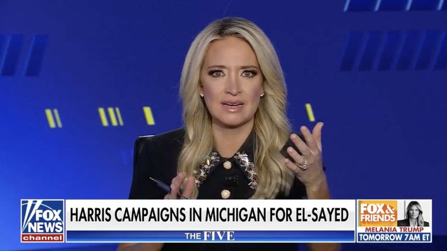 ‘The Five’ co-hosts Harris declaring ‘an attack on DEI is an attack on maternal care’