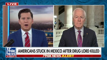 Cartel problem has ‘spilled over into the US,' Texas senator says after Mexican drug lord's death