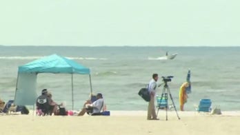 New York officials add safety measures after shark sightings