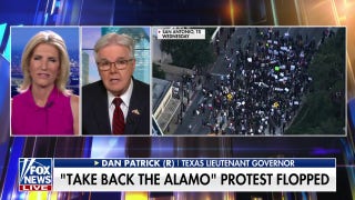 'Don't mess with Texas' is not just a slogan — it's a way of life, lieutenant governor says