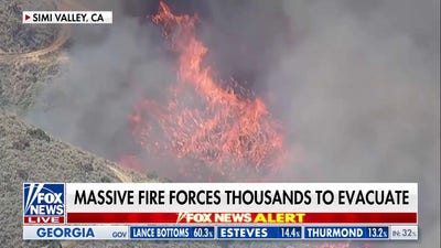 Fast-moving California brush fire scorches hundreds of acres