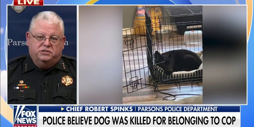 Kansas police chief says officer's puppy targeted in 'dark, evil, heinous' crime - Vimarsana News