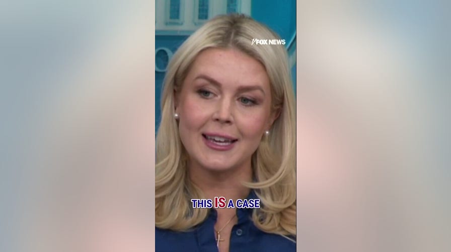 ‘COMPLETELY UNACCEPTABLE’: Leavitt on reports Iran is closing the Strait of Hormuz