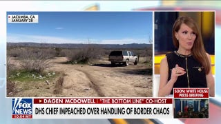 Dagen McDowell details 'economic burden' of migrant crisis: 'All on Joe Biden's shoulders' - Fox News
