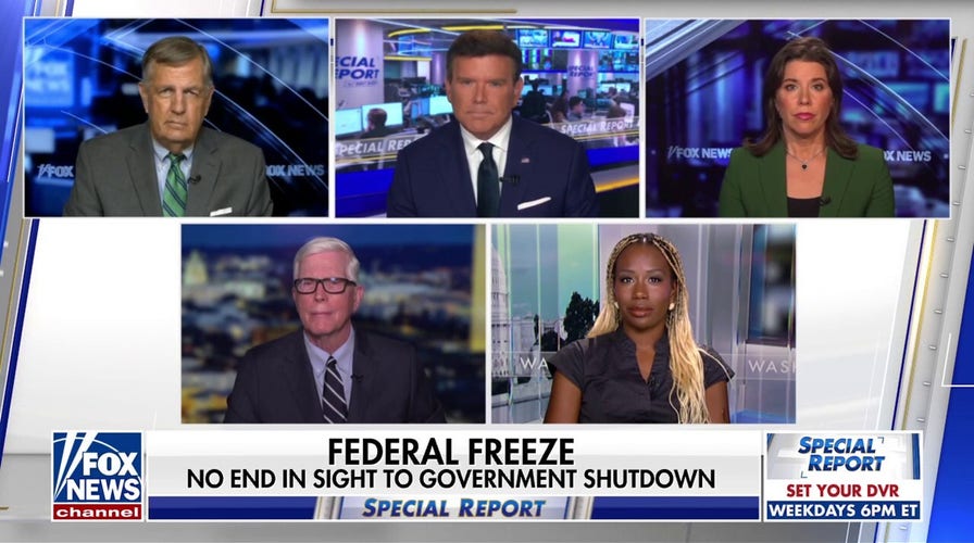 Former Biden advisor questions internal 'incentive' for Congress to reopen government