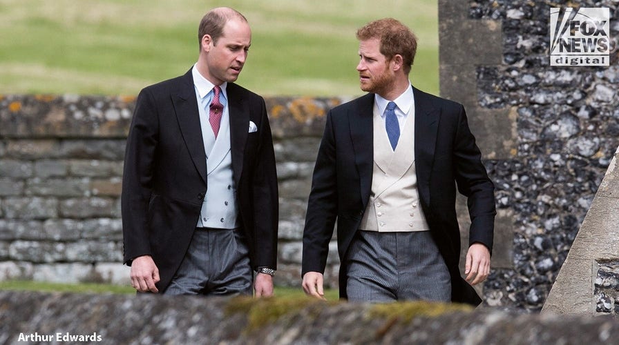 Prince Harry once pledged to support Prince William before their feud, author claims: ‘They were inseparable’