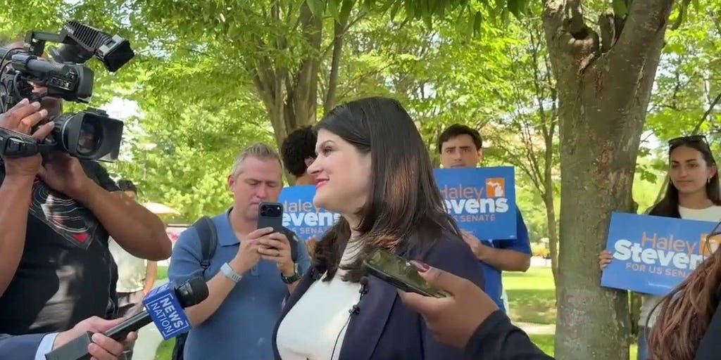 Dem Rep Haley Stevens blasts DOJ election monitors in Michigan as 'not normal'