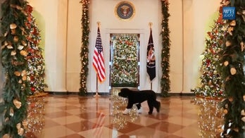 The untold meaning behind White House Christmas decorations through the years