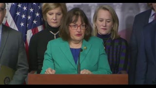 House Democratic group unveils plan for border, immigration reform - Fox News