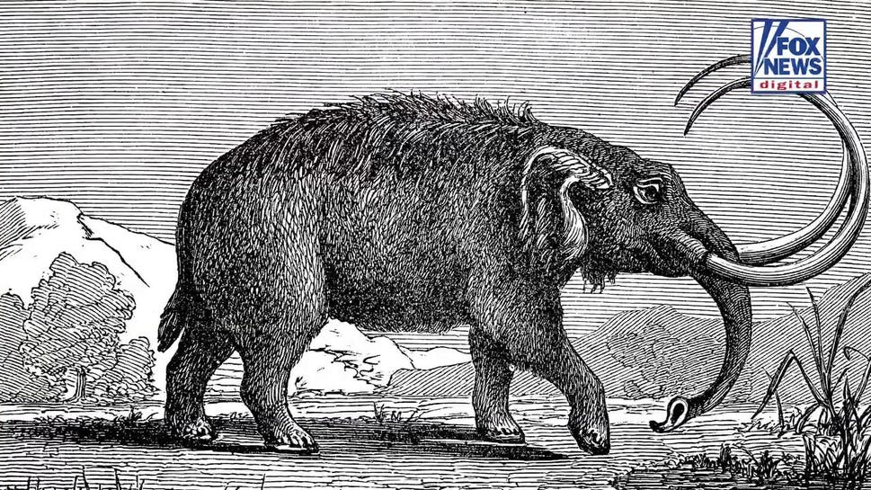 Ancient mastodon tooth found in California creek may point to more remains buried