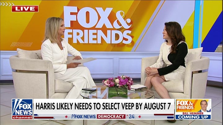 Potential Harris VP pick triggers far left: 'Ridiculous' 