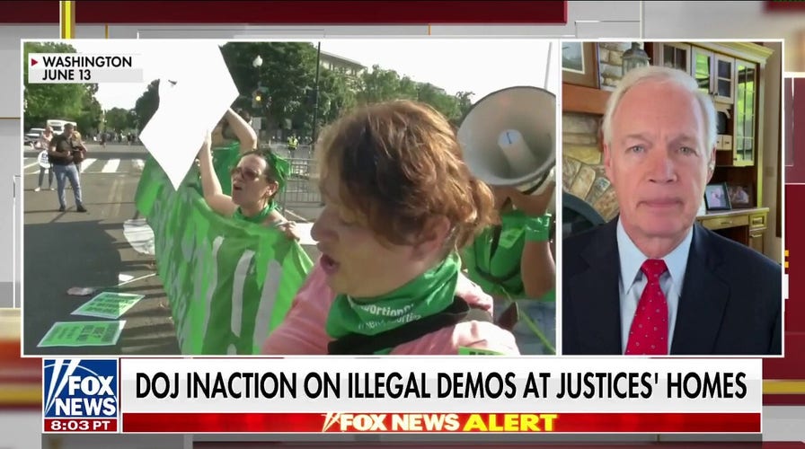 Sen. Johnson rips Democrats, media over protests at Supreme Court justices' homes: 'Complete double standard'