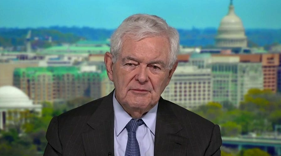 Newt Gingrich: Democrats are ‘running over people’s civil liberties’