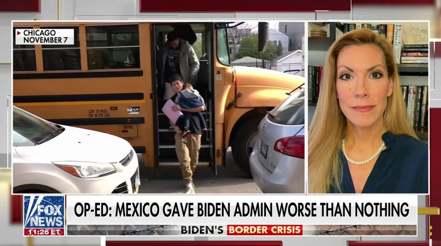 Mexican president has ‘no interest’ in working with the US: Rep. Van Duyne