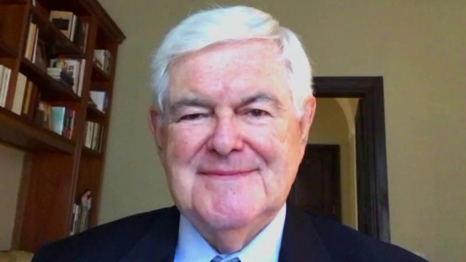 Newt Gingrich: Defund vs. defend -- policing debate poses opportunity for Republicans in 2020 election