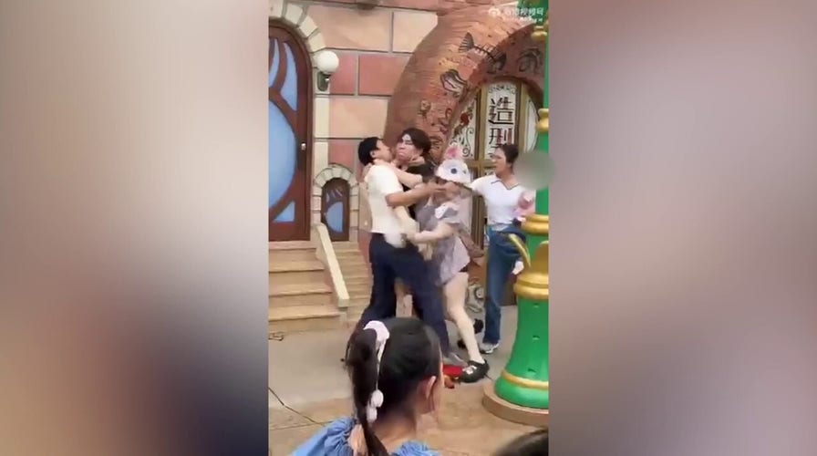 Brawl breaks out at Disneyland in China