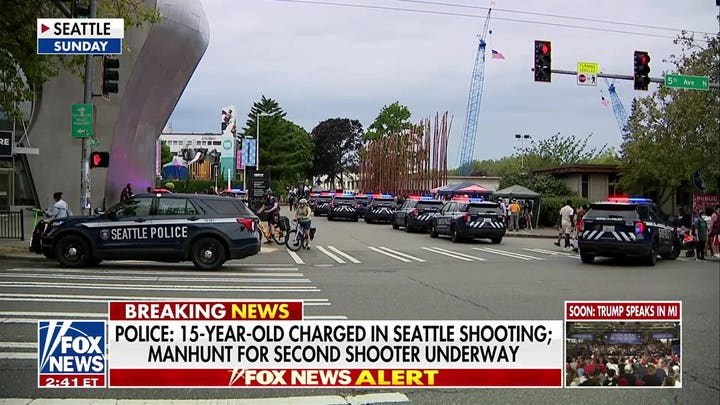 15-year-old charged in alleged Seattle festival shooting