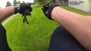 Police officer helps bird tangled in string to freedom - Fox News