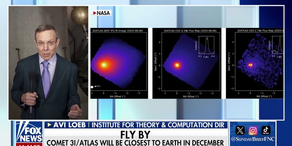 Harvard professor weighs in on origins of mysterious space object