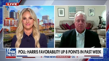 Robert Wolf: The excitement and favorability for Kamala Harris is real
