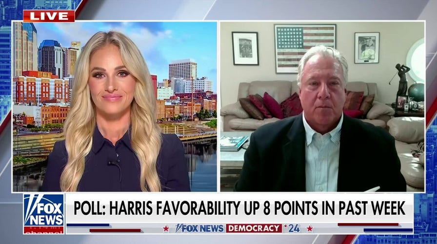 Robert Wolf: The excitement and favorability for Kamala Harris is real