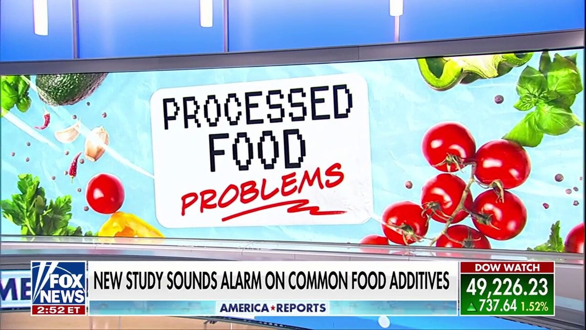 foxnews.com - Khloe Quill - One type of olive oil has a surprising effect on brainpower during aging