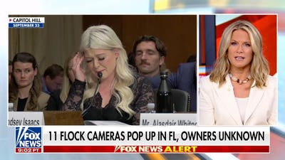 Unpermitted Flock surveillance cameras discovered in Florida as privacy concerns rise