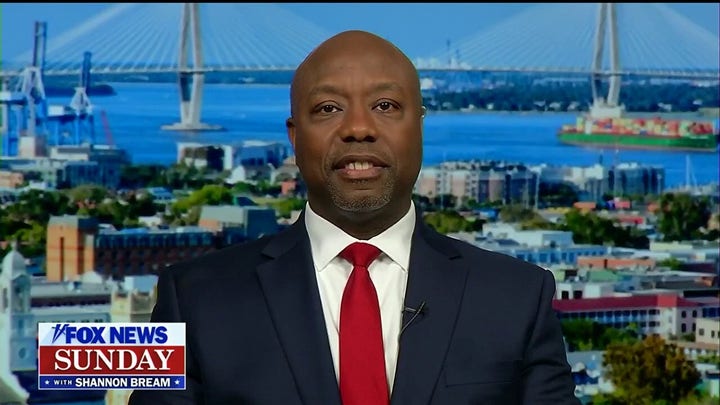 Republicans are the ‘best hope’ for a united future: Sen. Tim Scott