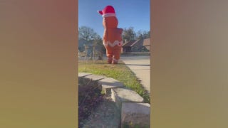 Florida inflatable character comes to life and chases driver - Fox News