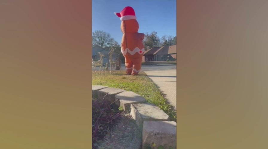 Florida inflatable character comes to life and chases driver