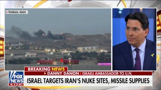 Iran was moving forward with plans to destroy Israel, US, ambassador says