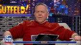 Google is the Left's 'kryptonite': Gutfeld