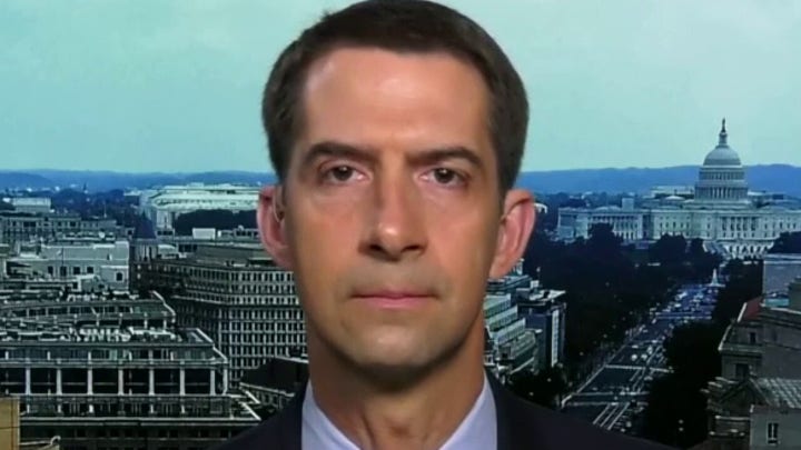 Sen. Cotton: China made conscious decision to let coronavirus spread after they knew how deadly it was