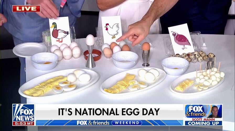 Celebrating National Egg Day